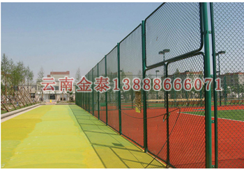 2024新奥历史开奖记录