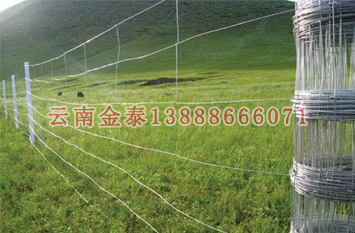 2024新奥历史开奖记录