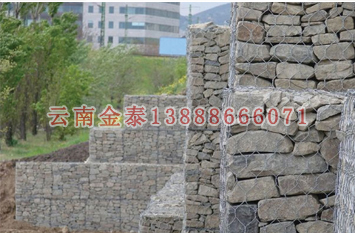 2024新奥历史开奖记录