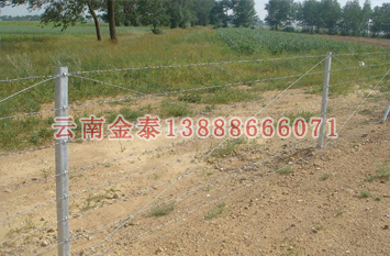 2024新奥历史开奖记录