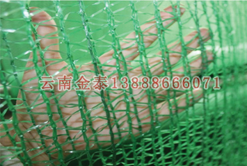 2024新奥历史开奖记录