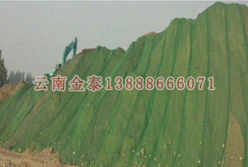 2024新奥历史开奖记录