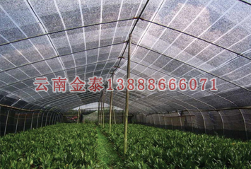 2024新奥历史开奖记录