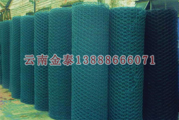 2024新奥历史开奖记录