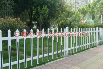 2024新奥历史开奖记录
